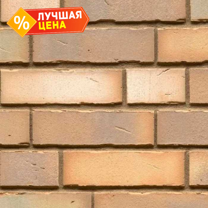 Клинкерная плитка ручной формовки Feldhaus Klinker NF 14 R916 vario sabiosa canuviri 240х71х14 мм