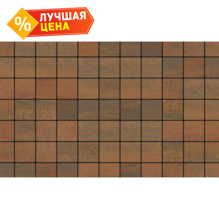 Плитка тротуарная Квадрат (ЛА-Линия) А.3.К.4 Листопад гладкий Арабская ночь 100x100x40 мм