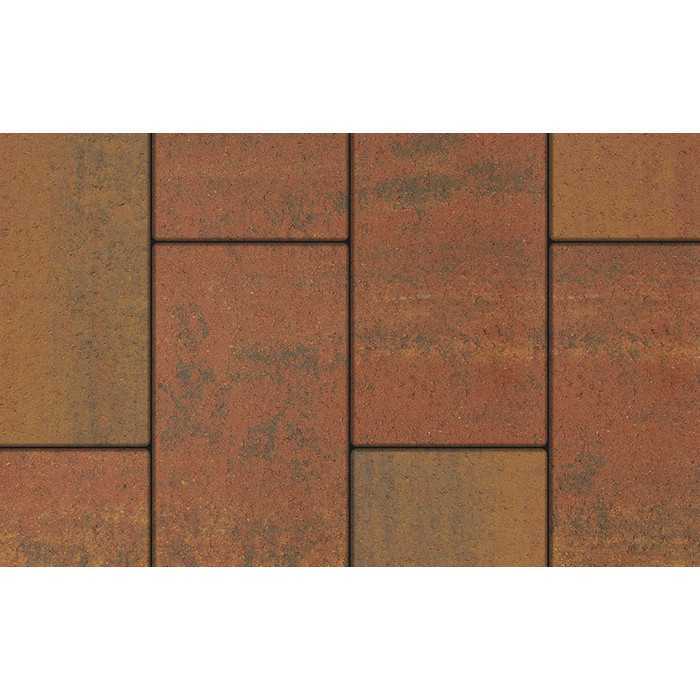 Плитка тротуарная Прямоугольник (Ла-Линия) В.5.П.10 Листопад гладкий Арабская ночь 600x300x100 мм