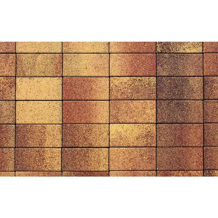Плитка тротуарная Прямоугольник (Ла-Линия) В.2.П.10 Листопад гладкий Осень 200x100x100 мм